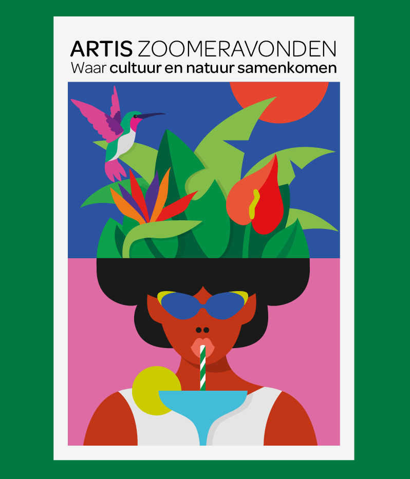 artis zoomer port2