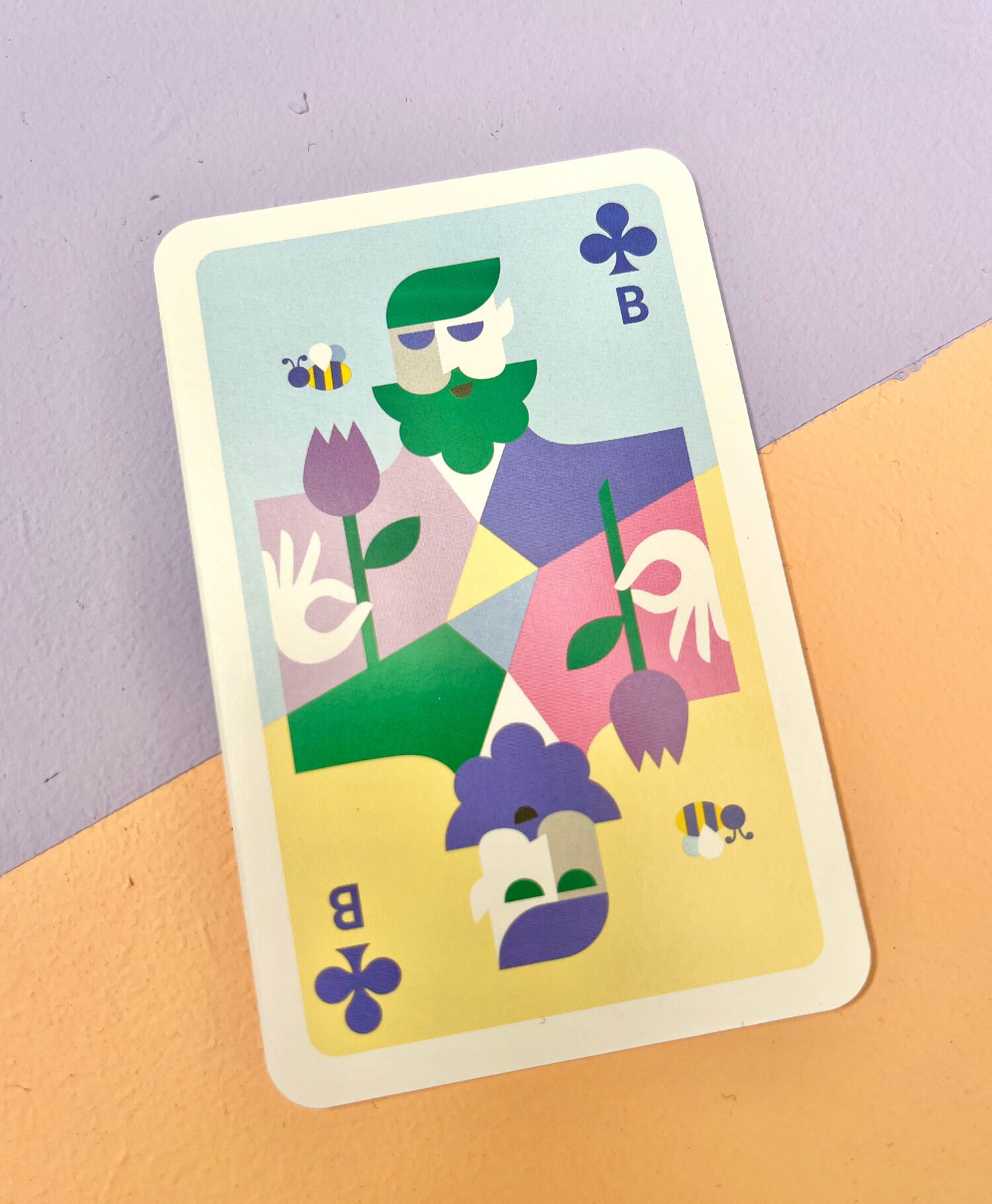 baljon-kaarten-eveline-schram2